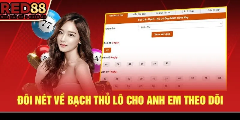 Đôi nét về bạch thủ lô cho anh em theo dõi