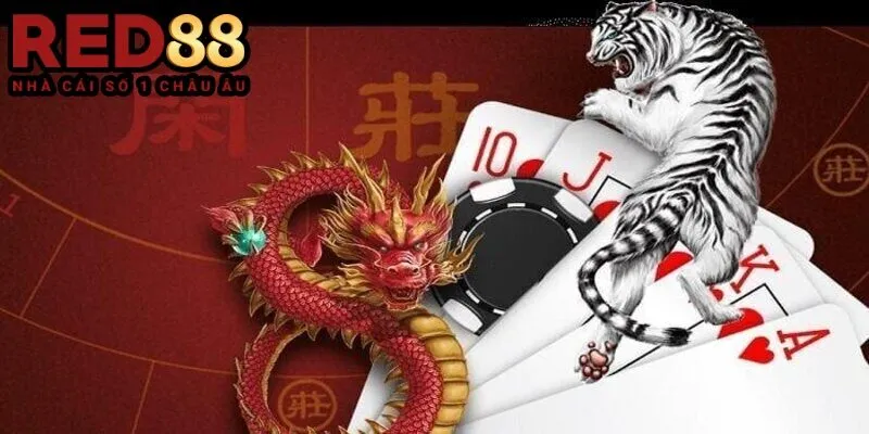 Quy tắc cơ bản trong game Dragon – Tiger