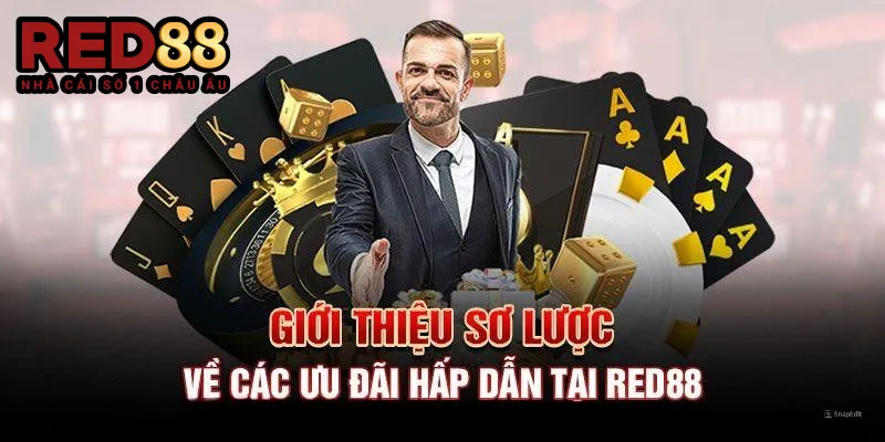 Giới thiệu sơ lược về các ưu đãi hấp dẫn tại Red88