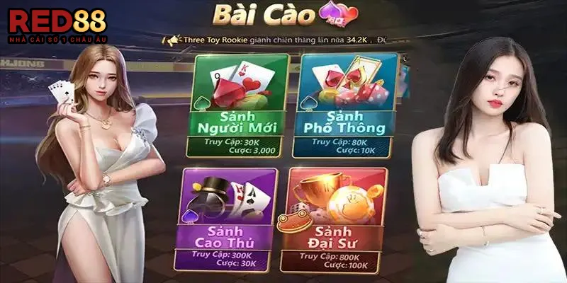 Phân loại bài cào phổ biến